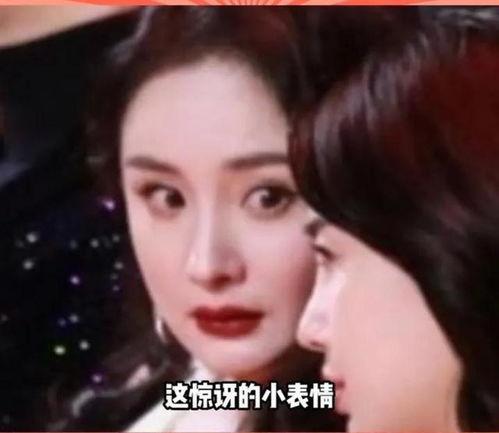 娱乐圈里的瓜怎么吃,如何优雅地享用娱乐八卦盛宴