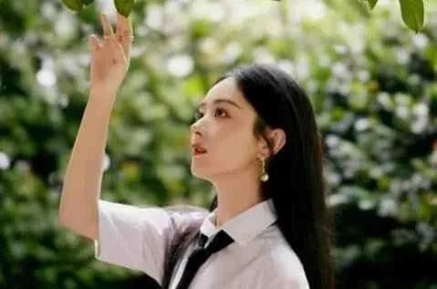 吃瓜娱乐圈小兰花是谁,娱乐圈神秘新星的崛起之谜